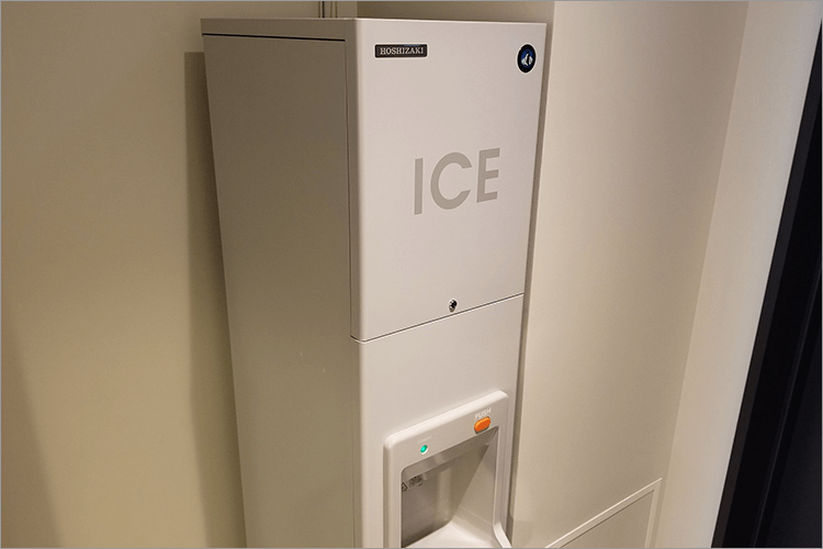 Ice dispenser