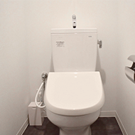 Toilet with cleaning function